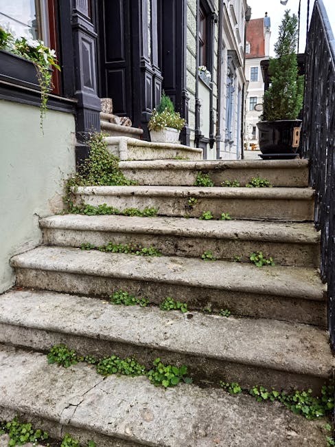 A set of worn stone steps leading up to the entrance of a property in West Kensington, with a black wrought iron railing on the right and a black planter box on the top step. The steps show signs of aging with visible cracks and patches of green weeds growing in the gaps between the stones. On the left side, part of a light-colored wall and the base of a potted plant are visible. In the background, there are buildings with white facades and typical London architecture, along with a partially visible narrow street. The scene is outdoors, illuminated by natural daylight, and depicts a typical residential area compatible with professional house removals or furniture transport services, such as those provided by Man with Van West Kensington, especially during the process of moving or packing house items up or down stairs.